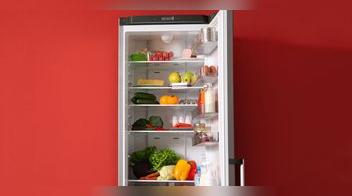 ¿Cuáles son las partes de la refrigeradora y para qué sirven?