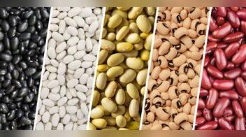 Frejoles: principales variedades, beneficios y cómo prepararlos