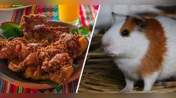 Día Nacional del Cuy: ¿Por qué preferir el cuy frente a otras carnes? Aquí te lo explicamos