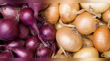 Cebolla roja o blanca: qué usos puedes darle a cada una en la cocina