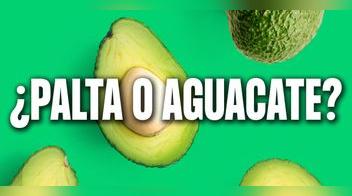 ¿Palta o aguacate? ¿Cómo se escribe correctamente?