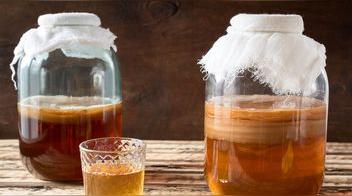 ¿Cómo hacer el famoso té kombucha en casa?