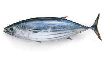 Bonito: ¿por qué es un súper pescado?