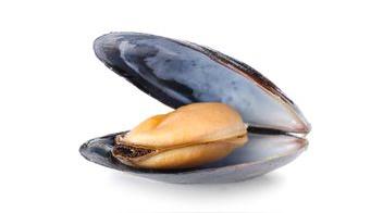 Los choros: ¿cómo escogerlos y prepararlos?