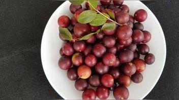 El fruto que es una bomba vitamínica; así se debe consumir