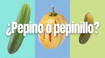 Pepino, pepino dulce y pepinillo: ¿qué es qué?