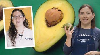 Maduración de la palta