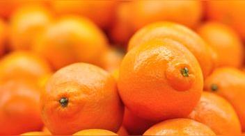 Explora los beneficios y características del delicioso tangelo, un fruto híbrido de mandarina y pomelo