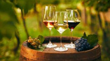 7 claves para elegir un vino