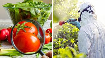 ¿Cómo eliminar los pesticidas de nuestras frutas y verduras?