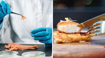 Del laboratorio a tu mesa: Estados Unidos aprueba la venta de pollo hecho de células cultivadas en un laboratorio