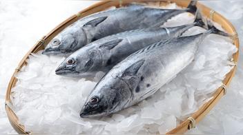¿Cuáles son las ventajas de cocinar con el pescado bonito?