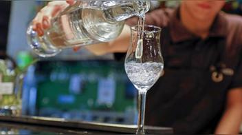 Día Nacional del Pisco: Historia y origen del pisco peruano