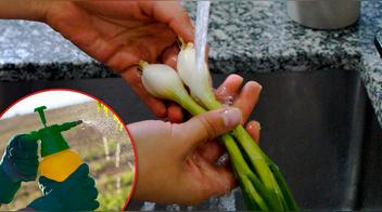 ¿Cómo lavar cebolla china para eliminar pesticidas?