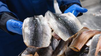 ¿Es malo comer la piel del pescado?