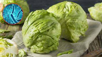 Cómo conservar la lechuga correctamente para evitar que se ponga fea y las bacterias
