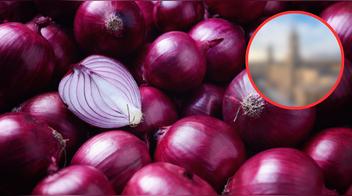 ¿Dónde se producen las mejores cebollas del Perú?