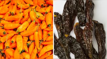 Europa: Cómo reemplazar el ají amarillo y el ají panca peruanos