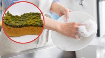 ¿Con qué frecuencia se debe cambiar la esponja de cocina?