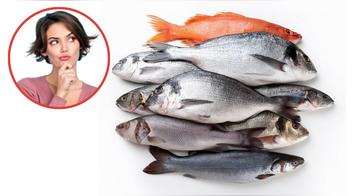 ¿Cuál es el mejor pescado para hacer ceviche?