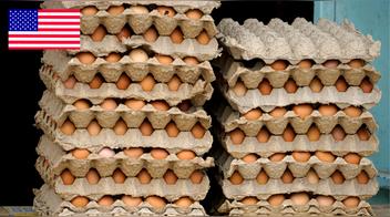 El aumento del precio de los huevos se dispara e impulsa su contrabando de México a Estados Unidos