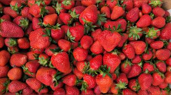El mejor método para conservar las fresas y que duren más tiempo