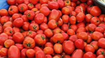 Ni en el frutero ni en la refrigeradora: este es el mejor lugar para guardar los tomates y evitar que se malogren