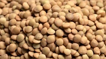 El mejor truco para realzar el sabor de las lentejas: descubre el ingrediente secreto que transformará tu receta