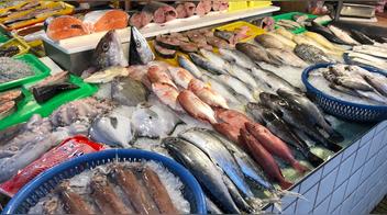 ¿Por qué es costumbre comer pescado en Perú durante Semana Santa?