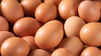 Cuánto tiempo duran los huevos en la heladera