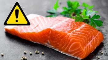 Se come en casi todos los hogares y tiene 70 parásitos: el pescado más venenoso del mundo