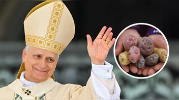 El papa León XIV lanza broma peruana en el Vaticano: "Ahora tienen 4001 especies de papa"