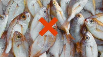 “No todos los pescados son seguros”, medio advierte sobre el tipo de pescado para consumo