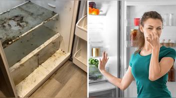 Dile adiós a los malos olores de tu refrigeradora
