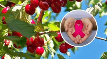 Esta fruta roja cuida tu corazón, tu digestión ¡y hasta podría prevenir el cáncer!