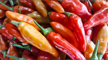 ¿Consumes ají? Un estudio revela cómo este alimento mejora el metabolismo y la salud cardiovascular