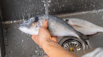 Reconocido chef explica por qué nunca debes lavar el pescado