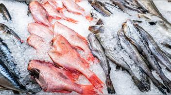 “Tenemos que sacarnos de la cabeza que un pescado congelado es peor que uno fresco”: esto explica un conocido chef
