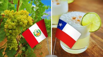 ¿Adiós al “pisco” chileno? Historiador chileno admite que el pisco es peruano