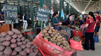 ¿Los precios bajaron?: este es el costo del pollo, papa, arroz y otros alimentos en los mercados de Lima