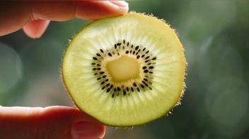 Haz crecer tu propio kiwi en casa: este el método definitivo