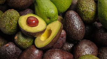 Palta peruana es investigada en Bolivia por contener una peligrosa sustancia química