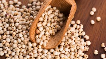 Dile adiós al arroz y conoce el superalimento sin gluten que podría transformar tu alimentación