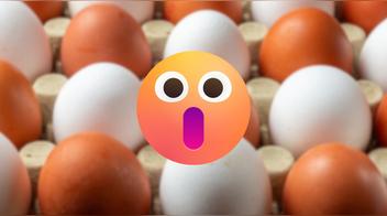 ¿Huevos blancos o marrones? Esto es lo que revelan los expertos