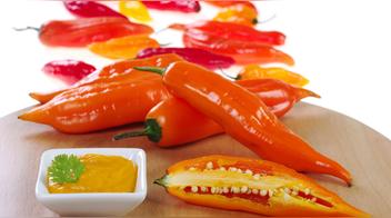Ají: descubre los beneficios de este alimento clave en la dieta de los peruanos