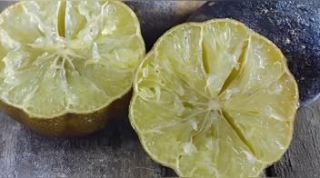 Ni en la cocina ni con papel aluminio: cómo evitar que los limones se sequen