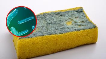 La esponja de cocina, el objeto más sucio de tu casa: cómo limpiarla correctamente