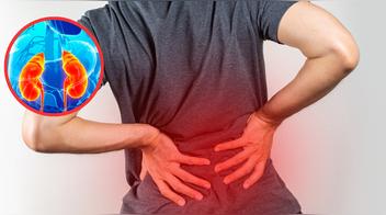 Estos son los alimentos que pueden dañar la salud de tus riñones