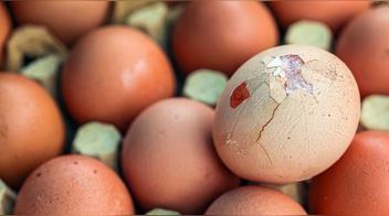 Huevos con grietas: ¿es seguro comerlos? Esto dice una especialista