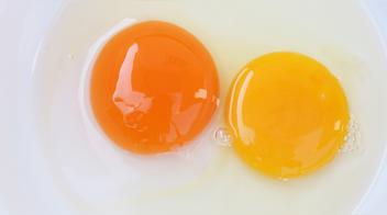 ¿Qué significa el color de la yema del huevo?